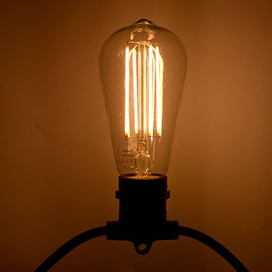 Luminescent LED filament edison lightbulb