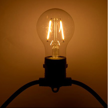 2 Watt Dimmable LED Filament Light bulb