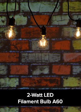 2 Watt LED filament bulb A60