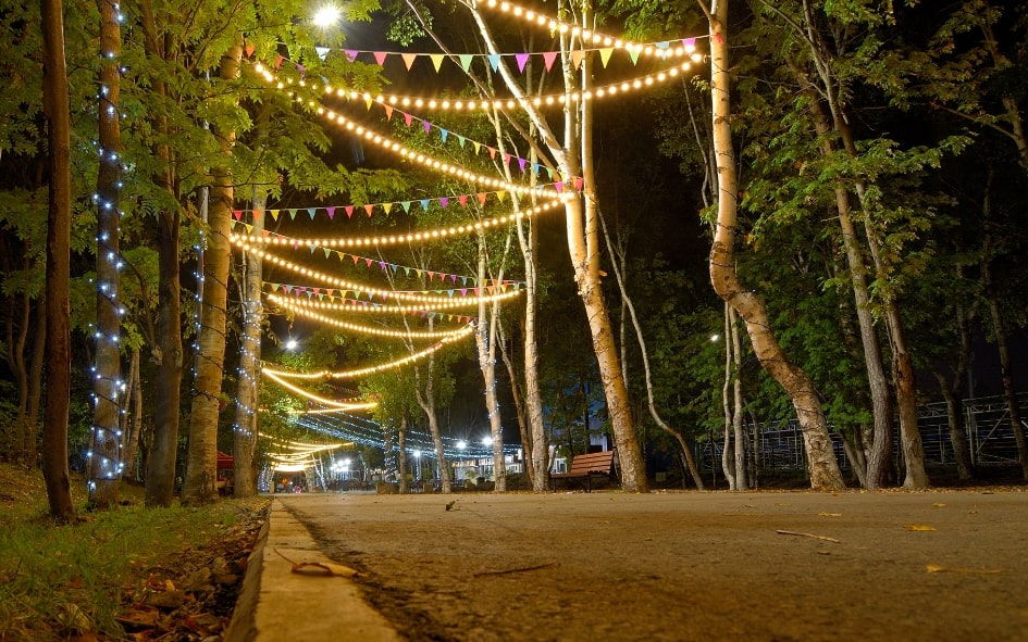 festoon lights hinging in outdoor trees on side of walkway