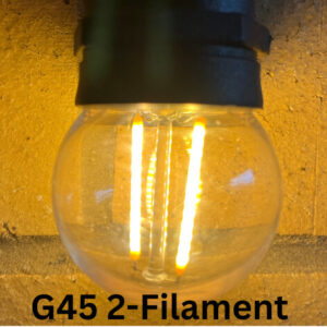 G45 2 Filament Bulb